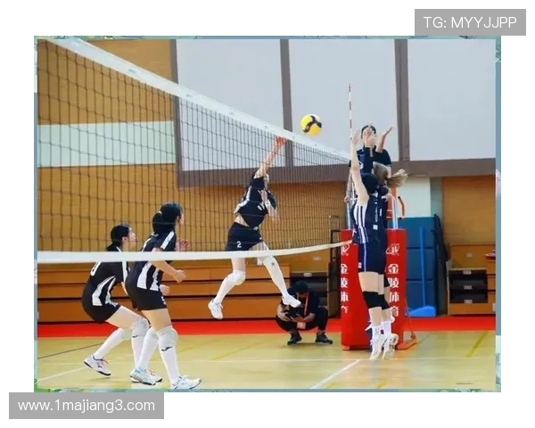 2026年8月2日精彩排球比赛回顾与精彩瞬间